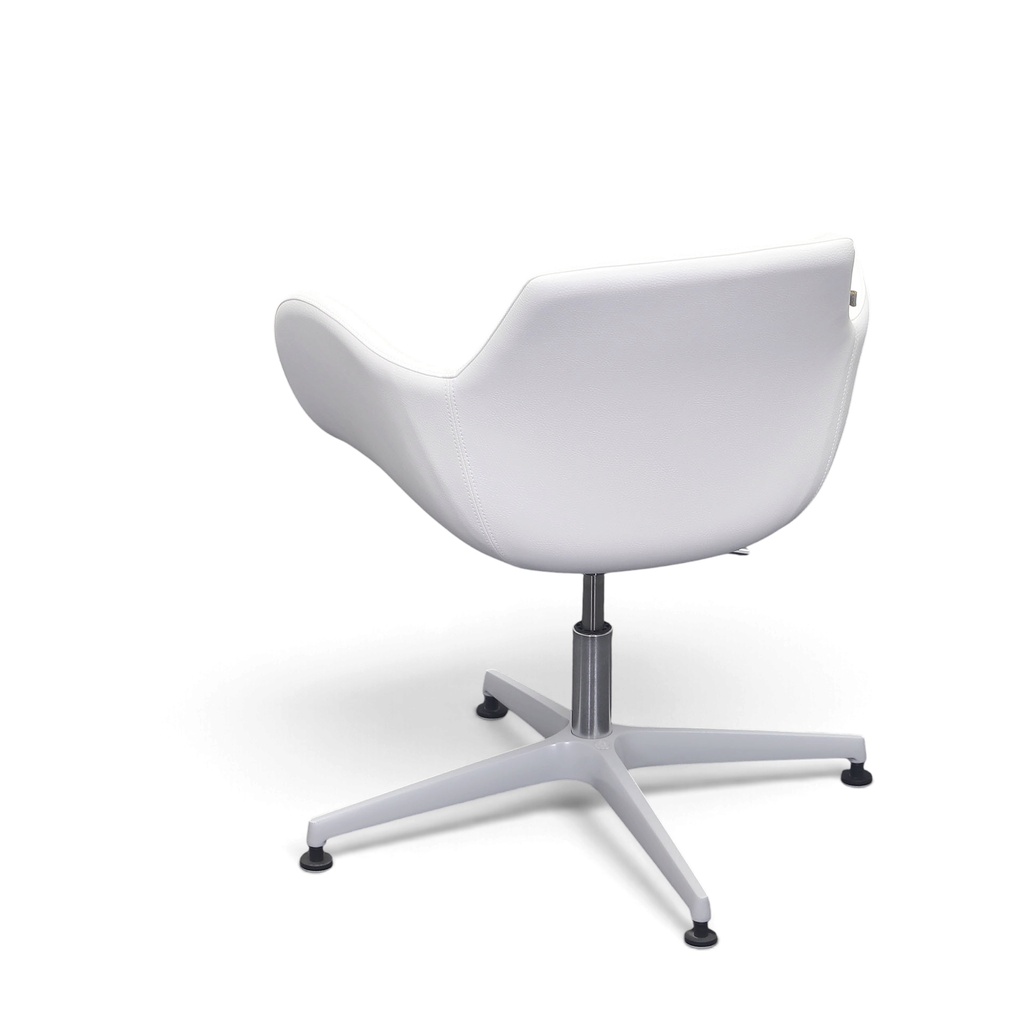 image_204.png